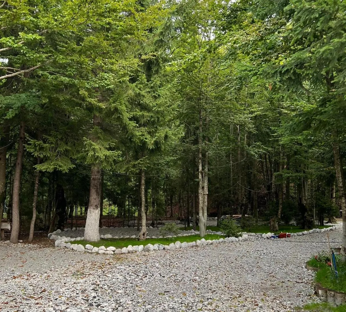 Hotel Bujtina Aroma E Malit Valbone