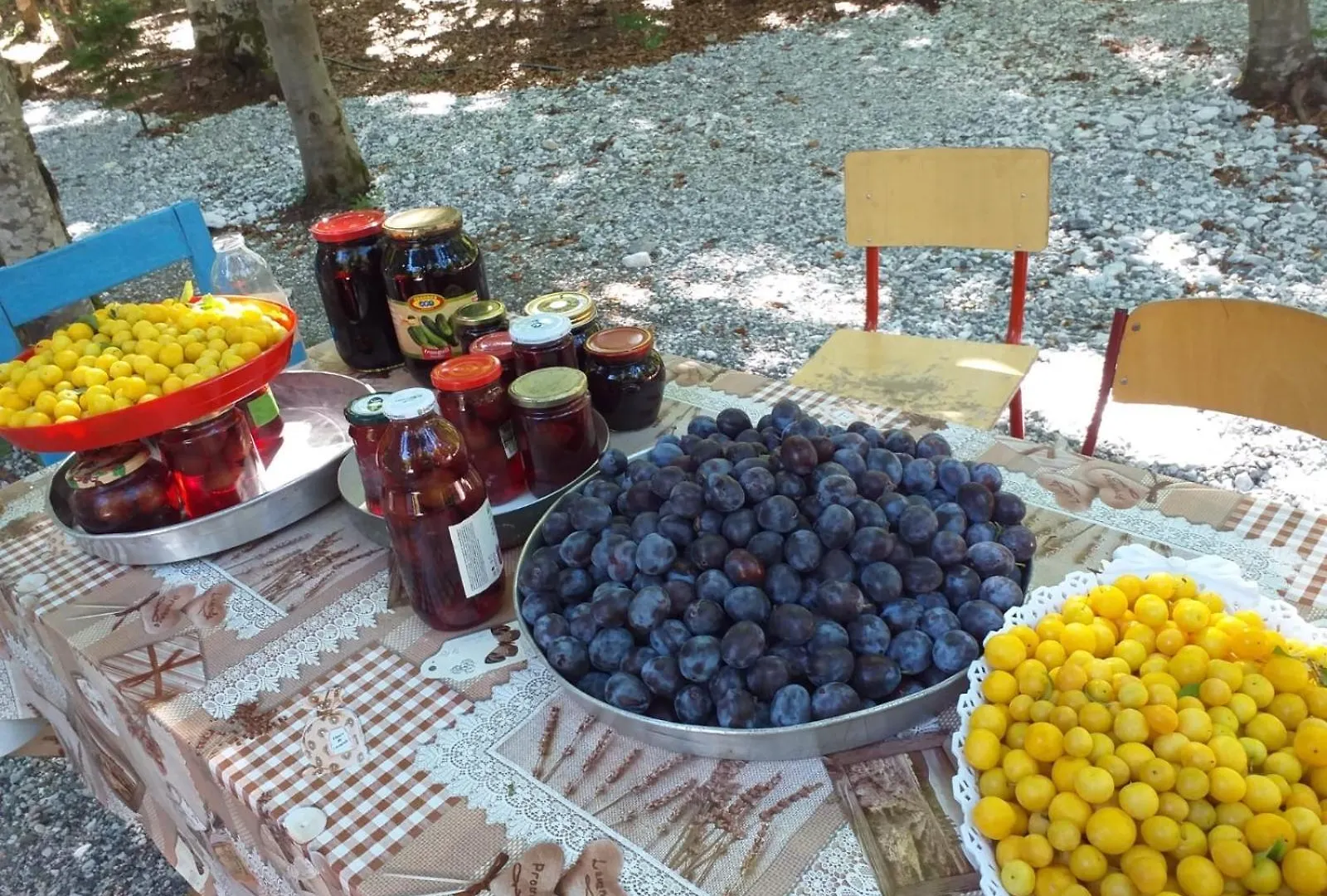 Hotel Bujtina Aroma E Malit Valbone