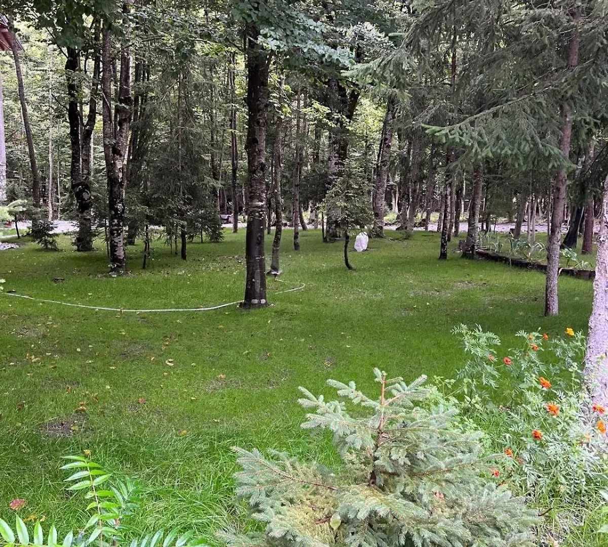 ***  Hotel Bujtina Aroma E Malit Valbone Albania